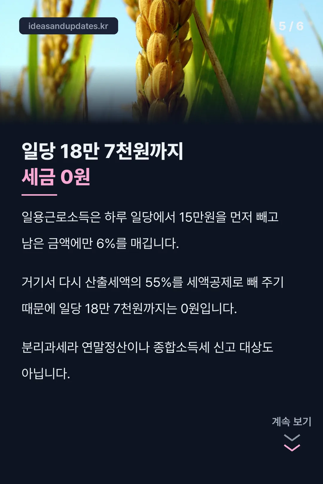 일용직 세금