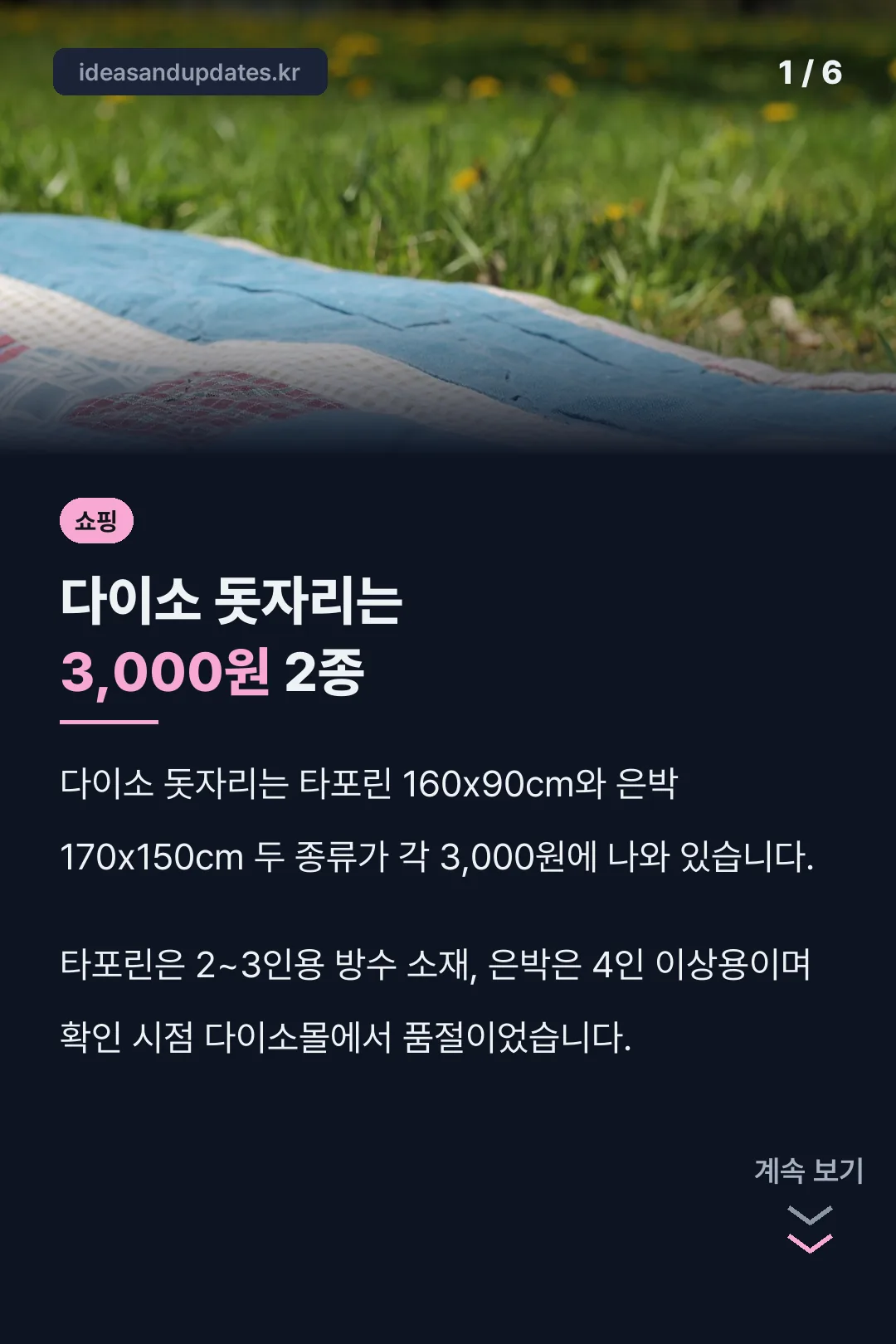 다이소 돗자리는 3,000원 2종