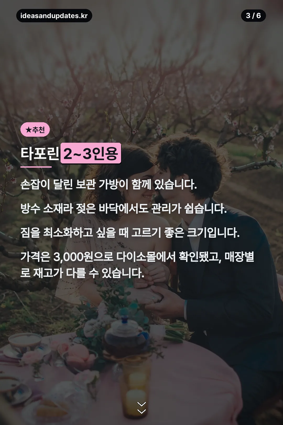 타포린 돗자리 특징