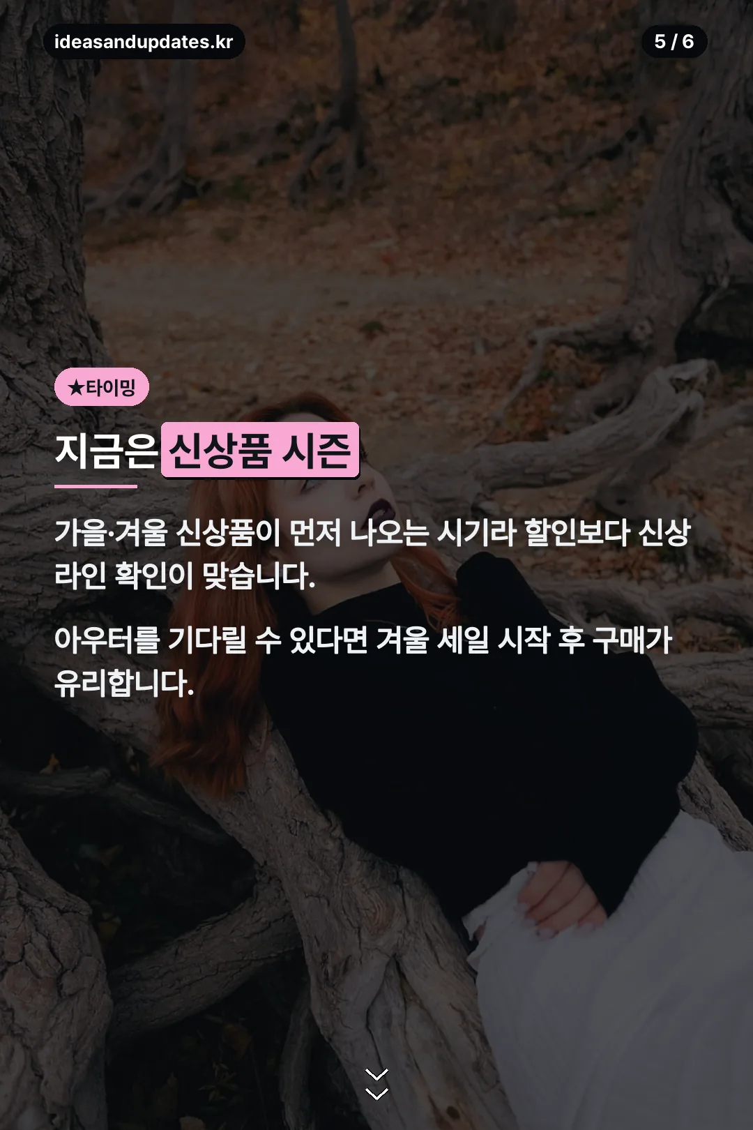 지금은 신상품 시즌