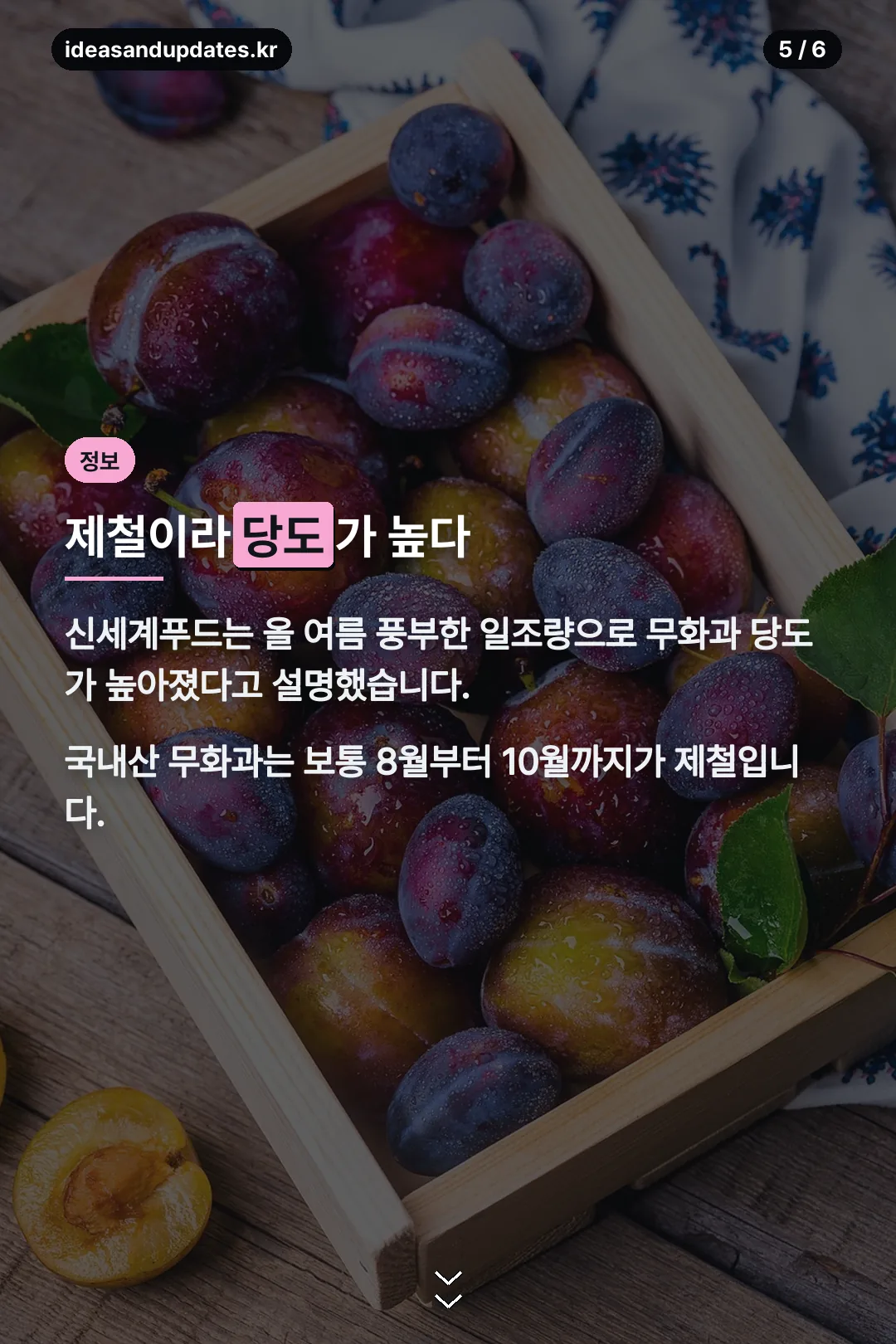 제철 무화과 당도