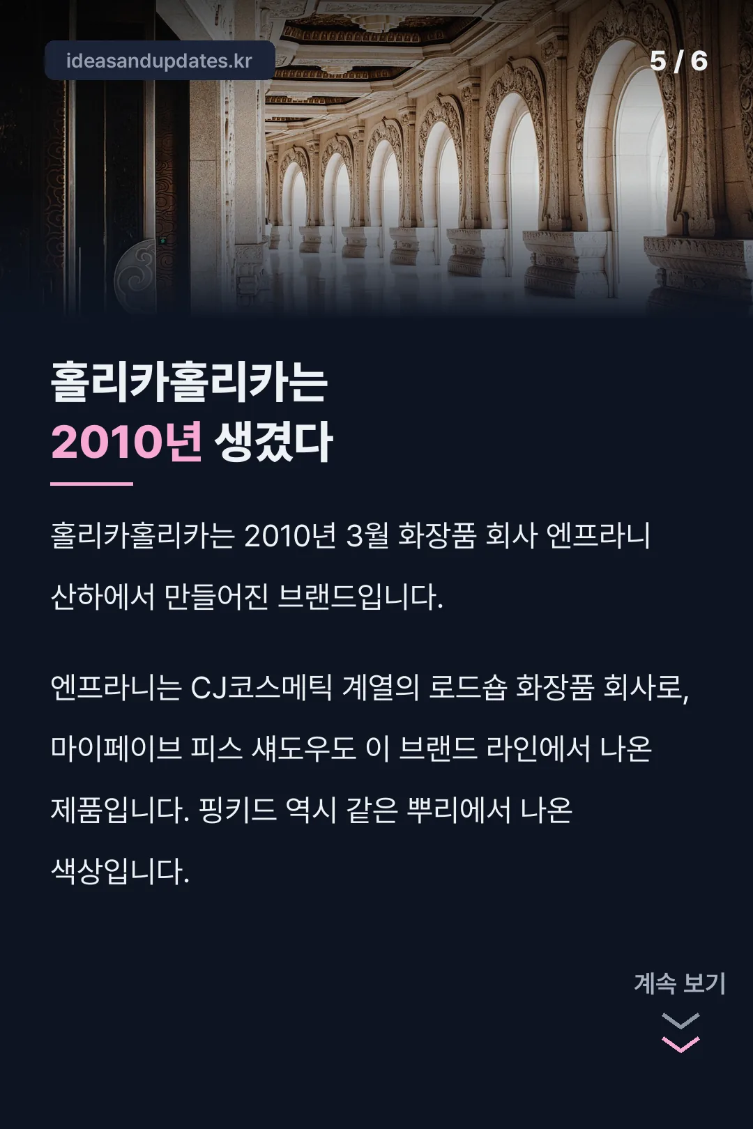 홀리카홀리카 2010년 설립