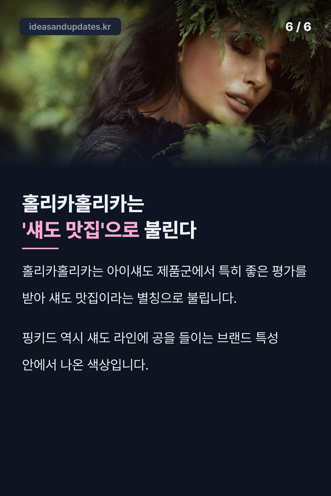섀도 맛집으로 불리는 브랜드