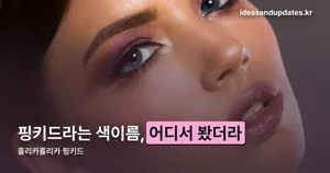 홀리카홀리카 핑키드, ‘마이페이브 피스’ 라인의 핑크 색상
