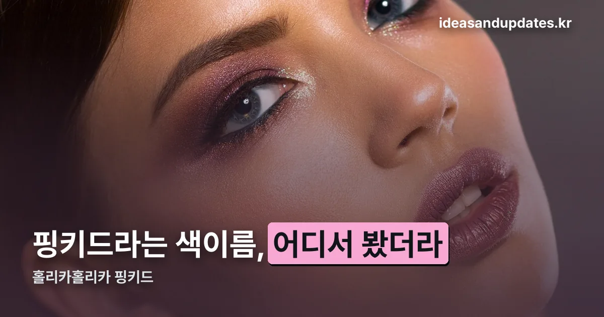 홀리카홀리카 핑키드 정리 썸네일