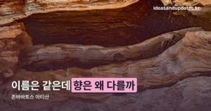 존바바토스 아티산 — 향조·라인업·가격 한 번에 정리