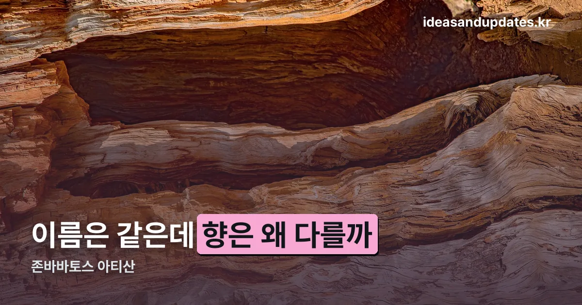 존바바토스 아티산 정리 썸네일