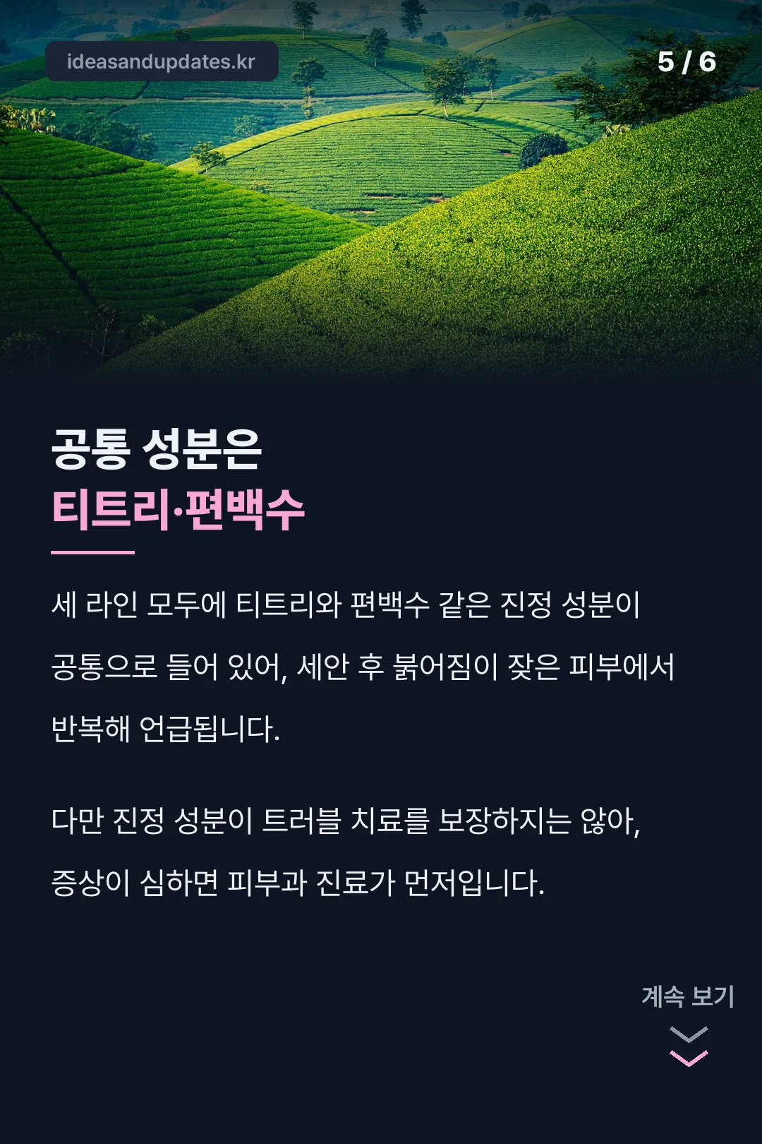 공통 진정 성분 티트리·편백수